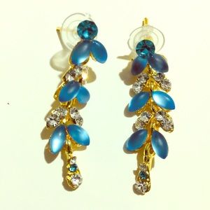 Beautiful Earrings